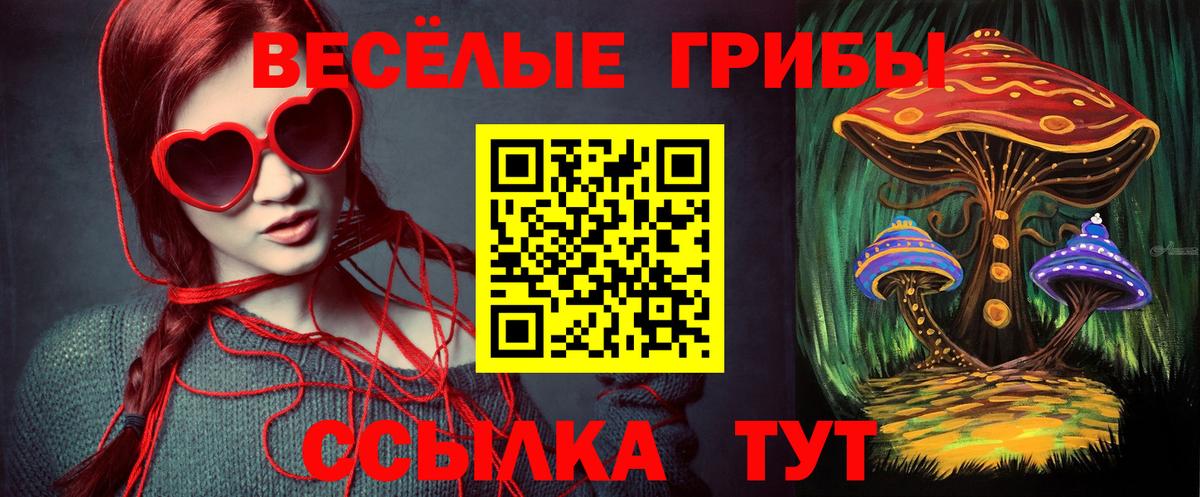 Псилоцибиновые грибы GOLDEN TEACHER Феодосия